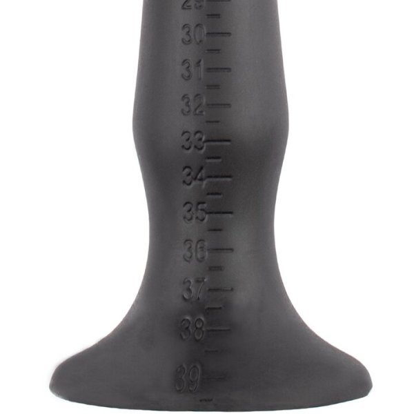Anal Plug With Suction Cup