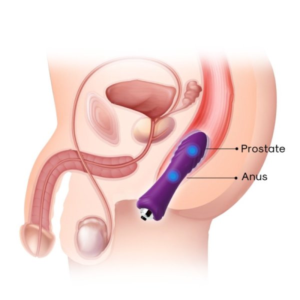 Clitoris Stimulation Vibrator - Purple