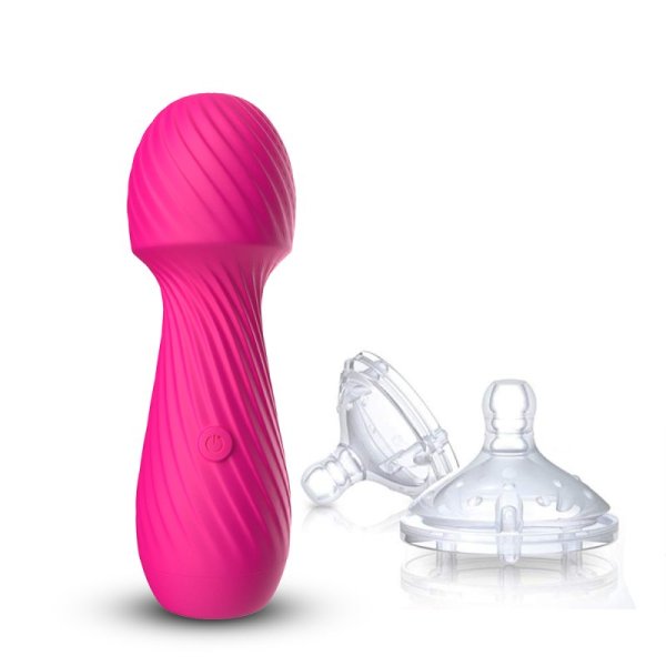 Genie Mini Wand Massager - Rose