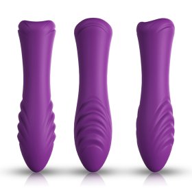 Clitoris Stimulation Vibrator - Purple